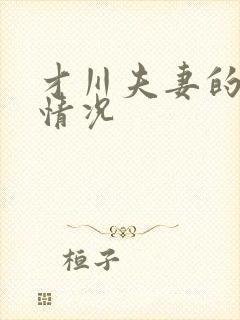 才川夫妻的恋爱情况