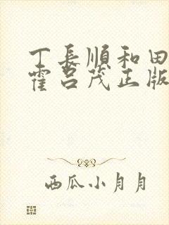 丁长顺和田晓兰霍吕茂正版