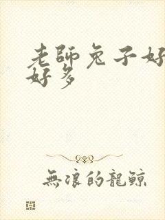 老师兔子好软水好多