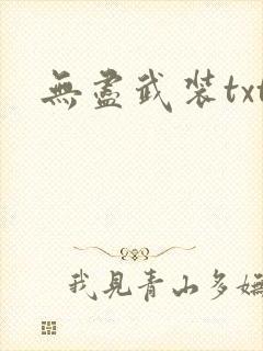 无尽武装txt