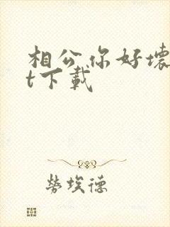 相公你好坏txt下载