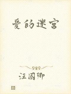 爱的迷宫