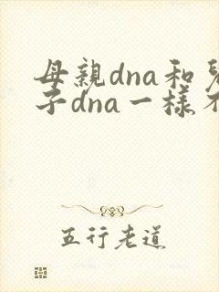 母亲dna和儿子dna一样不
