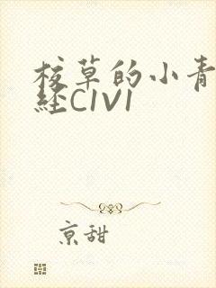 校草的小青梅不经C1V1