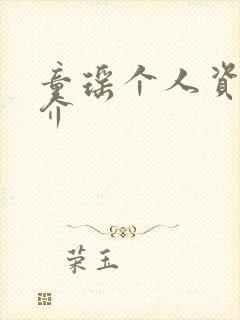 童瑶个人资料简介