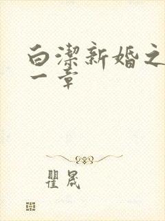 白洁新婚之夜第一章