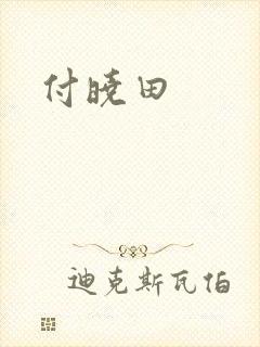 付晓田