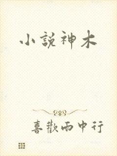 小说神木