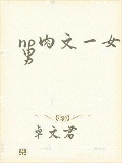 np肉文一女多男