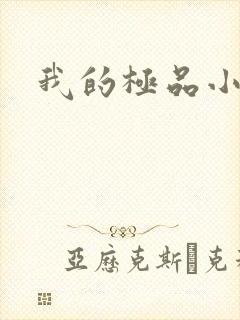 我的极品小姨