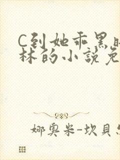 C到她乖黑暗森林的小说免费