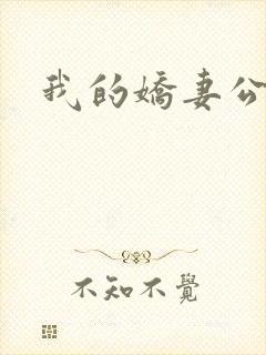 我的娇妻公务员