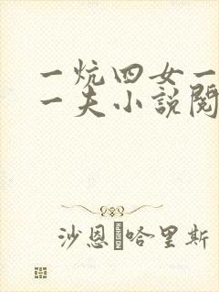 一炕四女一共侍一夫小说阅读