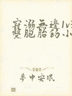 宠溺无边1v3双胞胎的小说