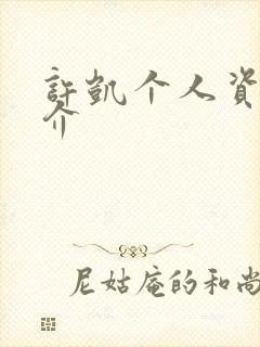 许凯个人资料简介