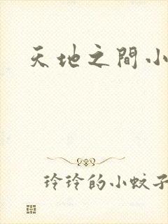 天地之间小说