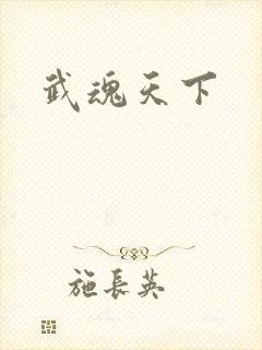 武魂天下