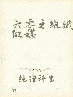 六零之组织给我做媒