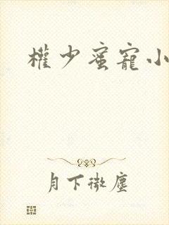 权少蜜宠小娇妻