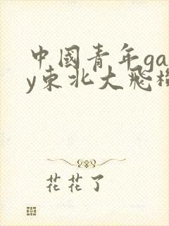 中国青年gary东北大飞机打桩