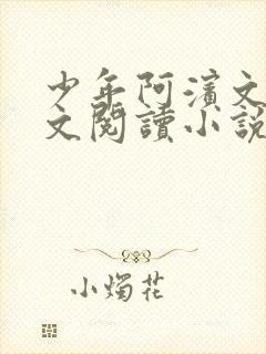 少年阿滨文全全文阅读小说