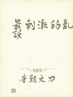 最刺激的乱岳小说