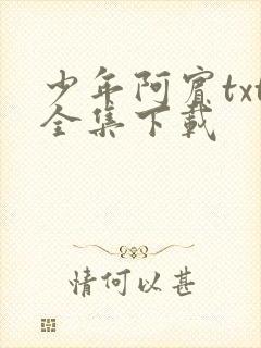 少年阿宾txt全集下载