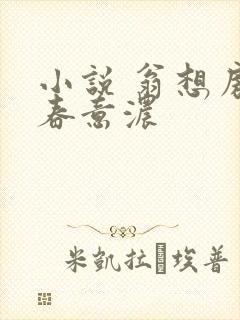 小说 翁想房中春意浓