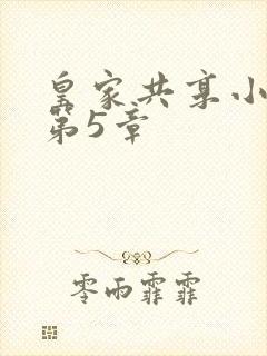 皇家共享小公主第5章