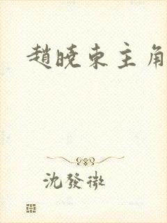 赵晓东主角小说