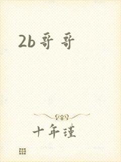2b哥哥
