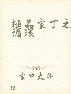 极品家丁之因果循环