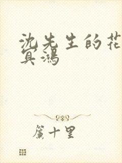 沈先生的花式调冥鸿