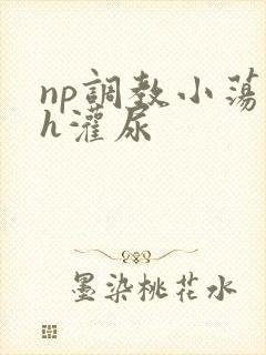 np调教小荡货h灌尿