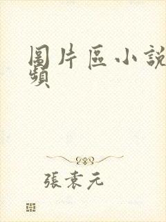 图片区小说区视频