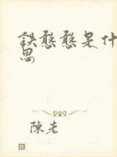 铁憨憨是什么意思