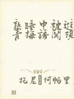 熟睡中被进了H青梅诱哄视频