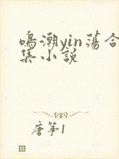 鸣潮yin荡合集小说