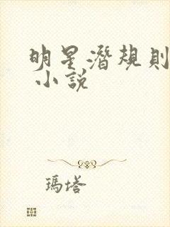 明星潜规则之皇 小说