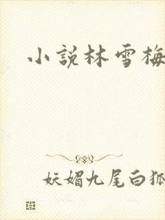 小说林雪梅