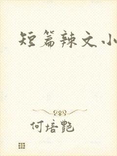 短篇辣文小说