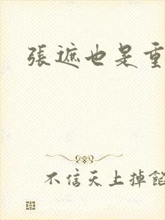 张遮也是重生吗