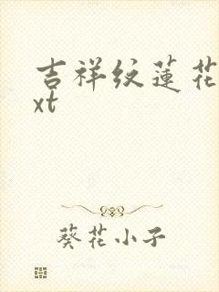 吉祥纹莲花楼txt