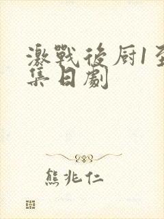 激战后厨1至5集日剧