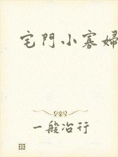 宅门小寡妇