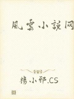 风云小说网