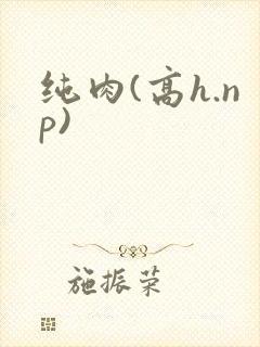 纯肉(高h.np)