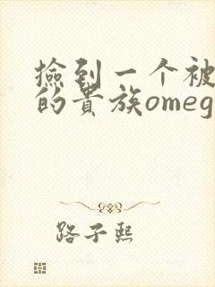 捡到一个被抹布的贵族omega