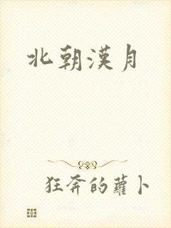 北朝汉月