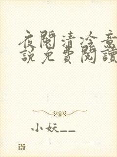 夜阑清冷意欢小说免费阅读